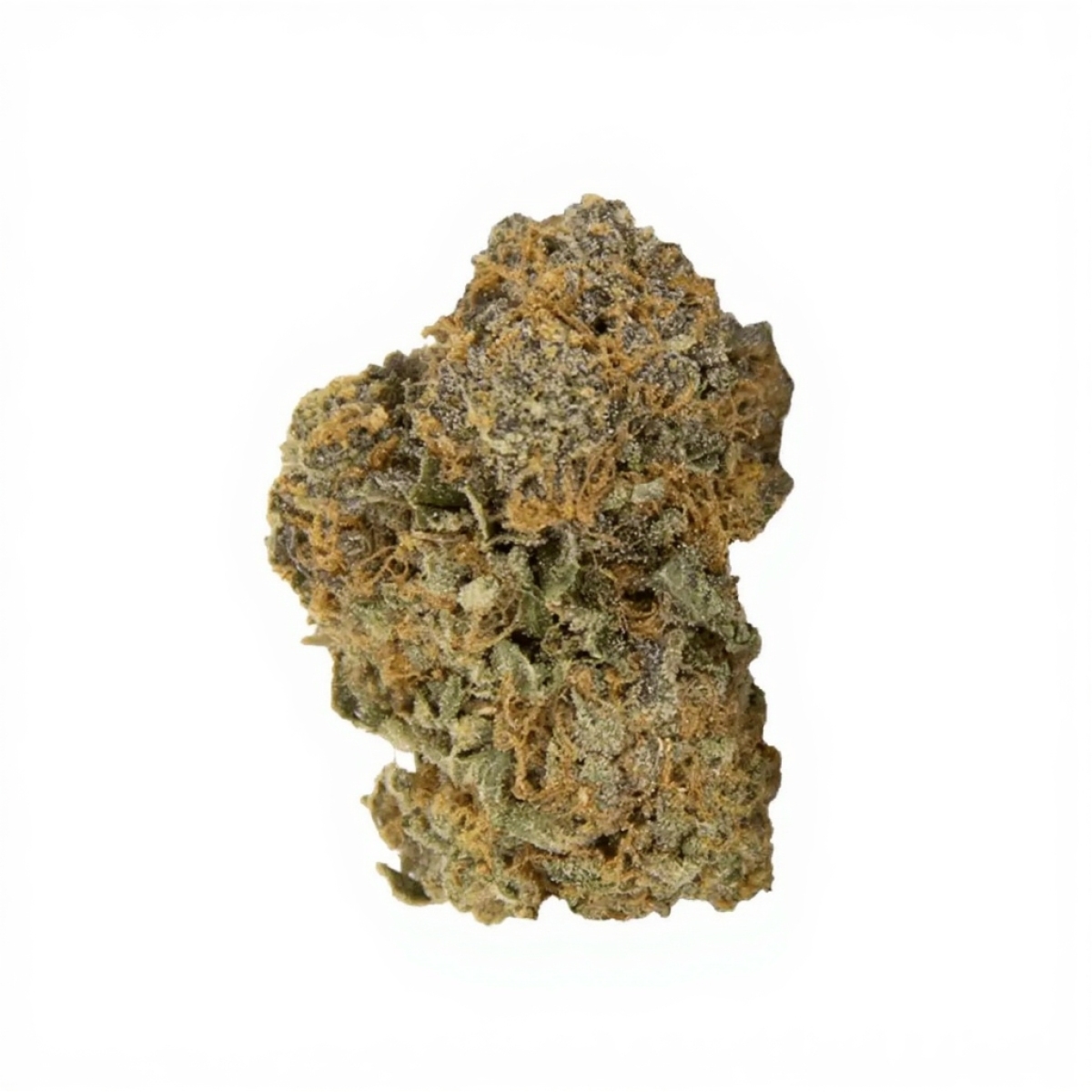 NICE 26/1 PJ - Platinum Jack