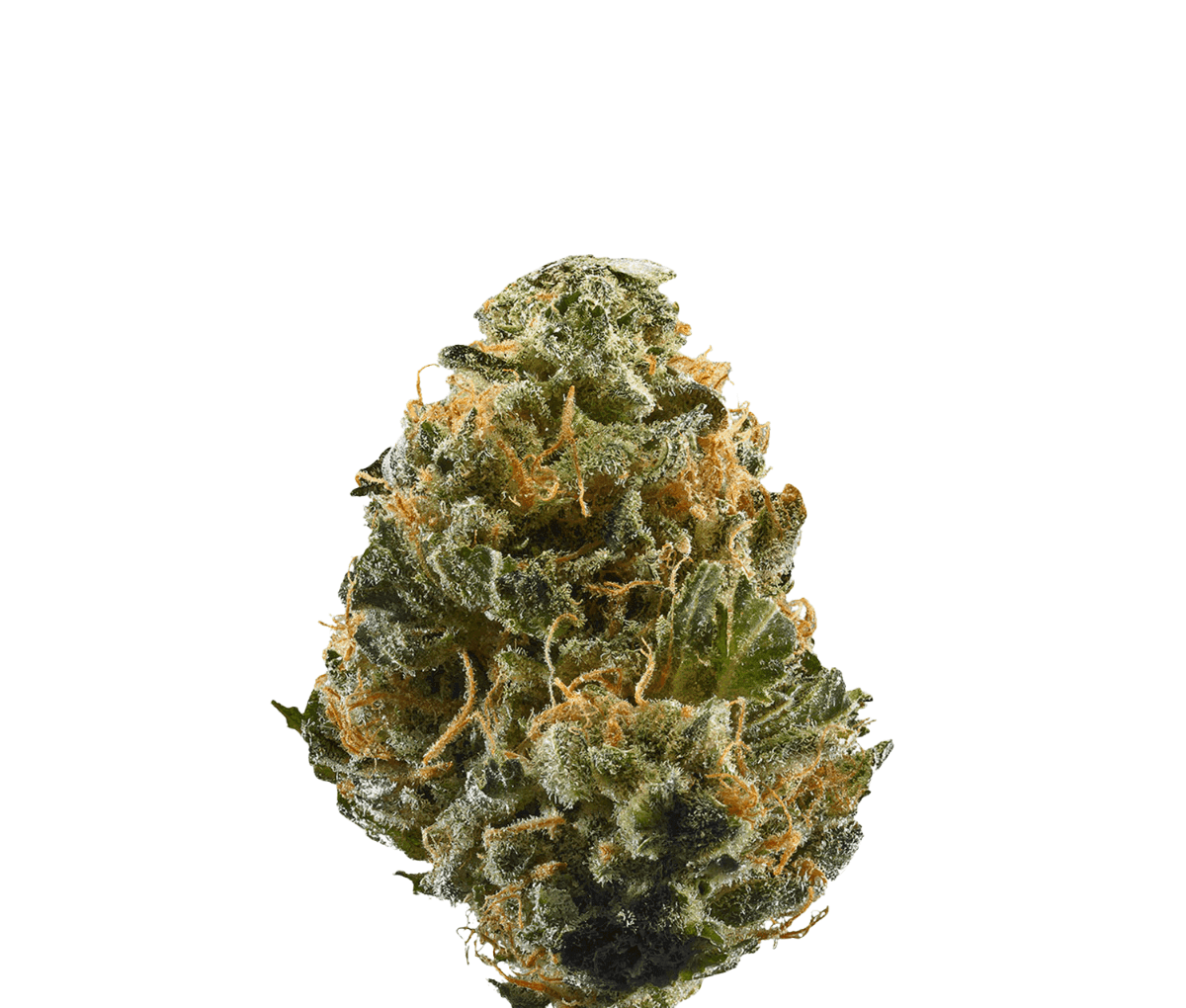 ZOIKS 22/1 - Space Rider ZOIKS 22/1 - Space Rider