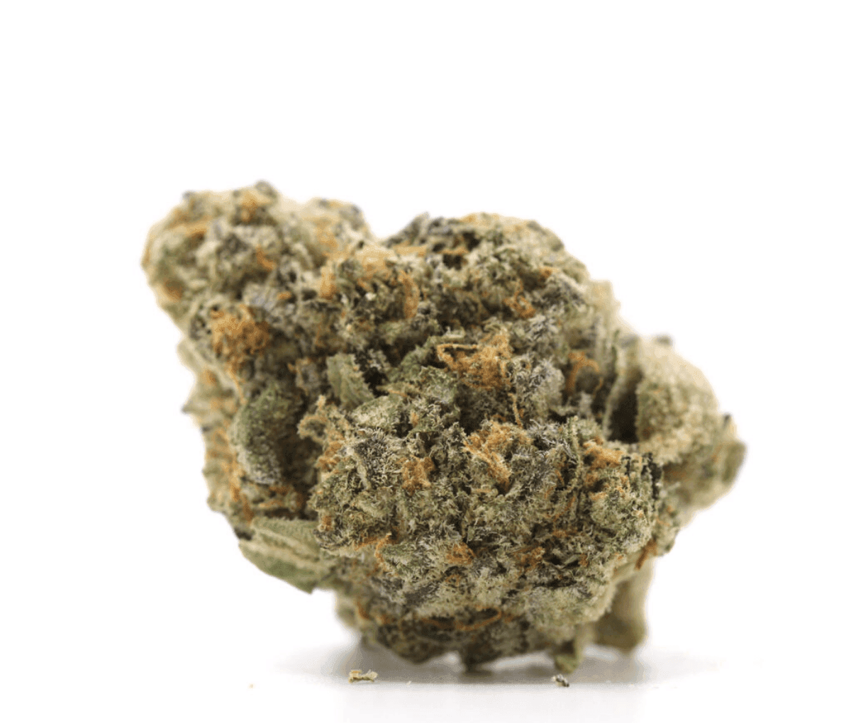 Green Karat PV 30/1 - Pavé S1