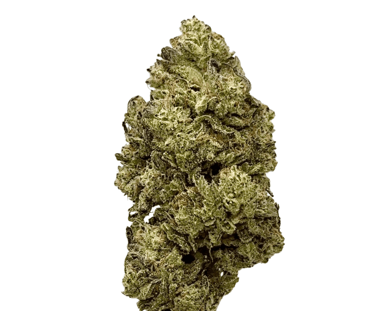 Avaay Signature 23/1 - Blueberry Yum Yum