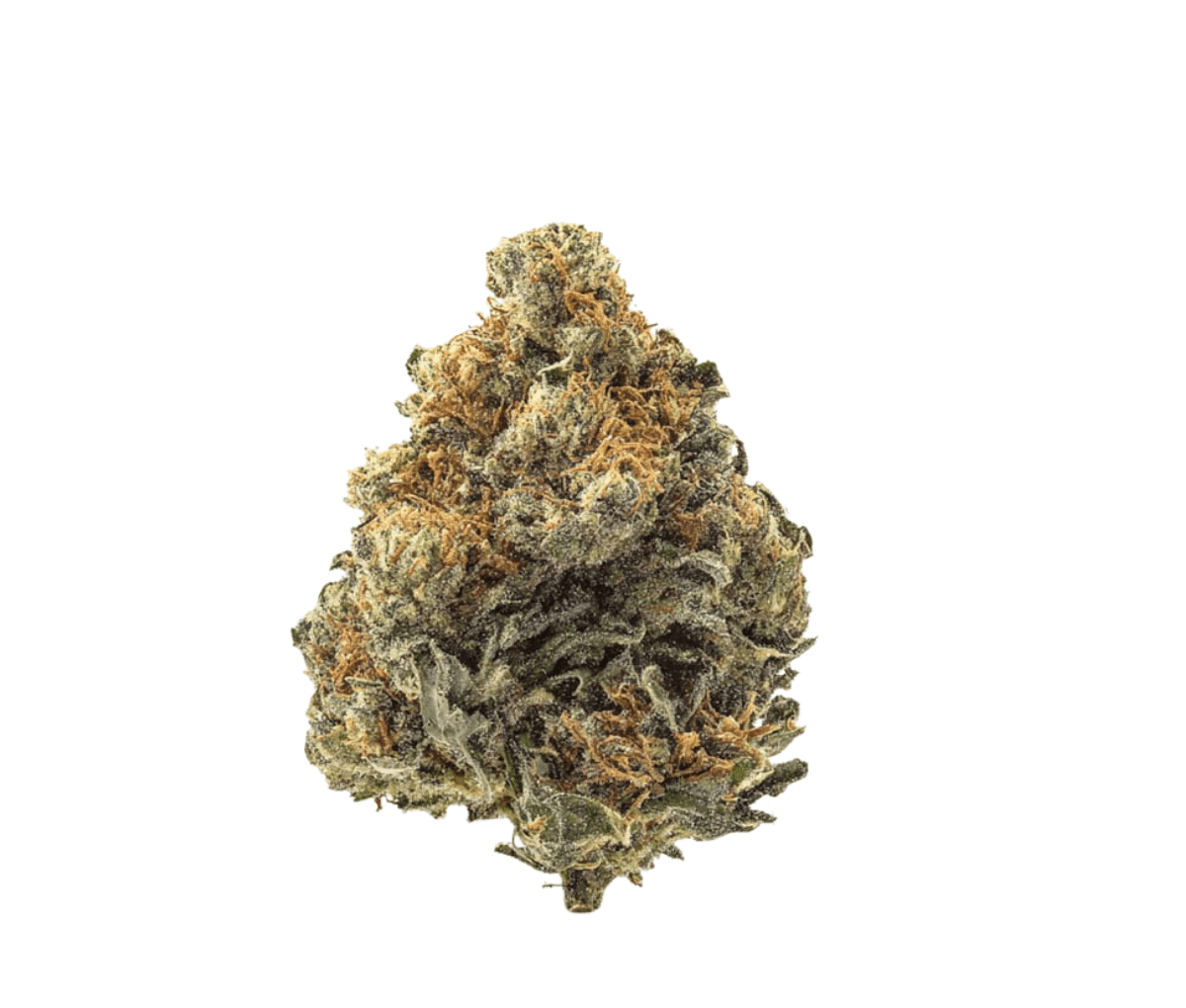 IMC LR THC27 - Limonetti Rhino