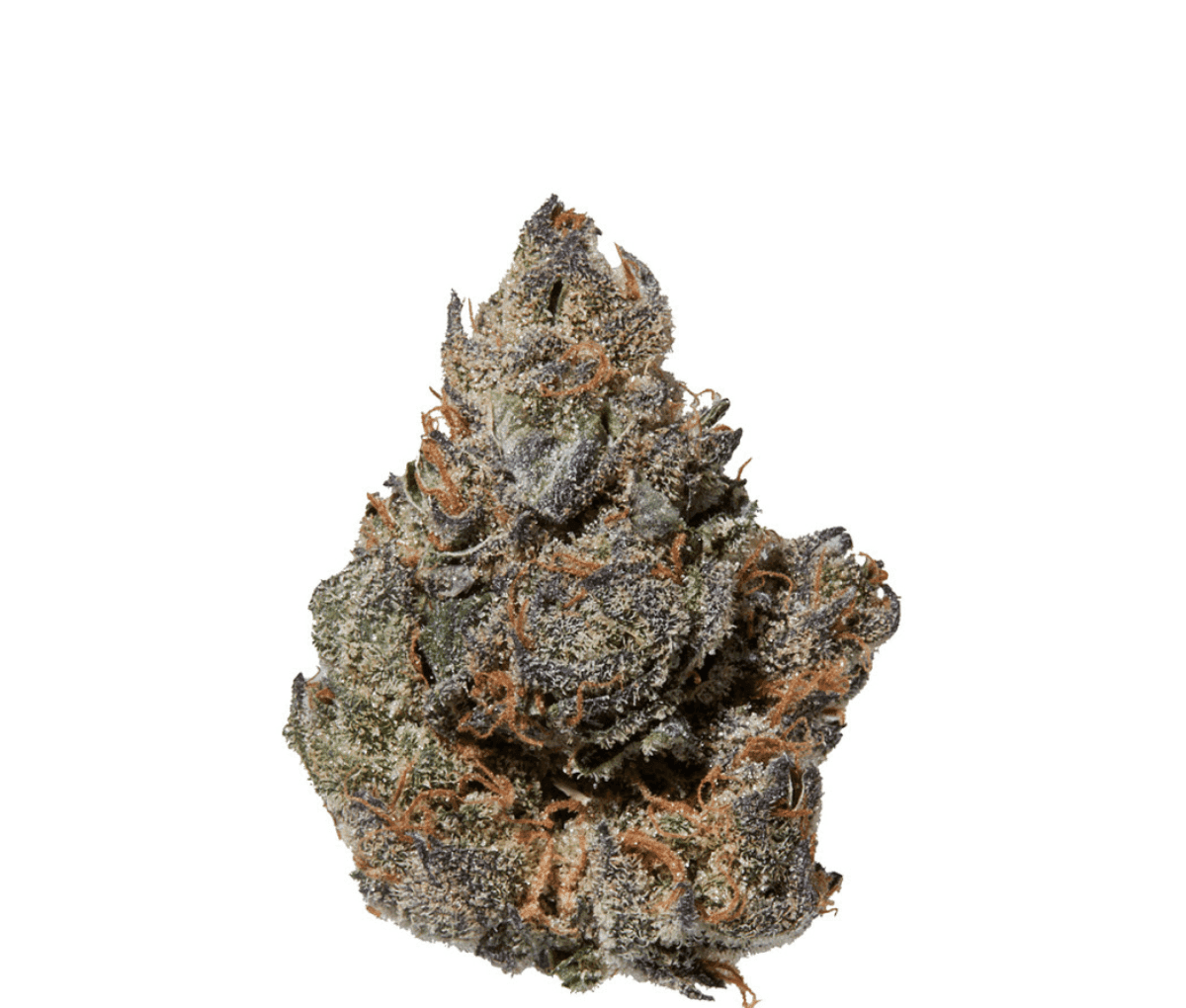 Avaay 29/1 CP - Candy Pave Avaay 29/1 CP - Candy Pave