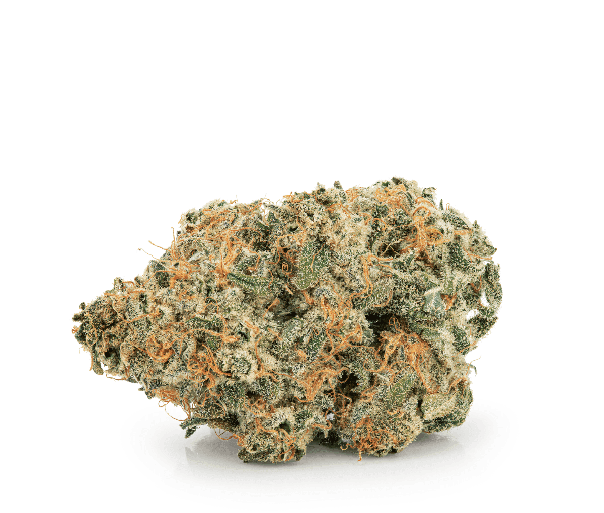 Avaay 29/1 SCP - Sour Cherry Punch