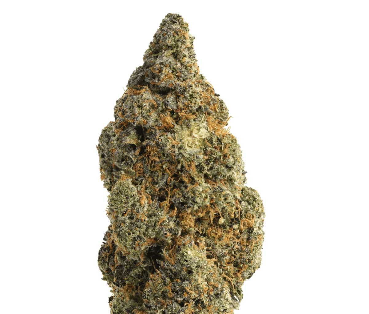 NICE 26/1 VC - Vanilla Cake NICE 26/1 VC - Vanilla Cake