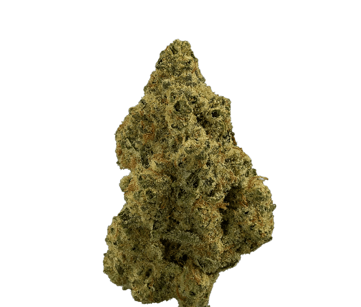 madrecan 21/1 - Granddaddy OG