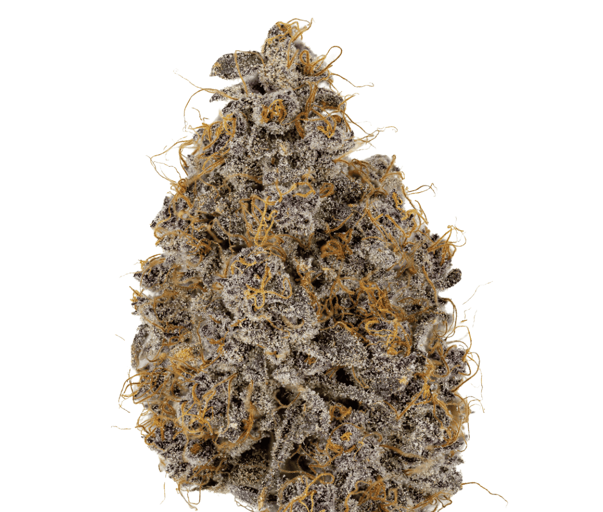 IMC Deep Plum 22/1 Mids IMC Deep Plum 22/1 Mids