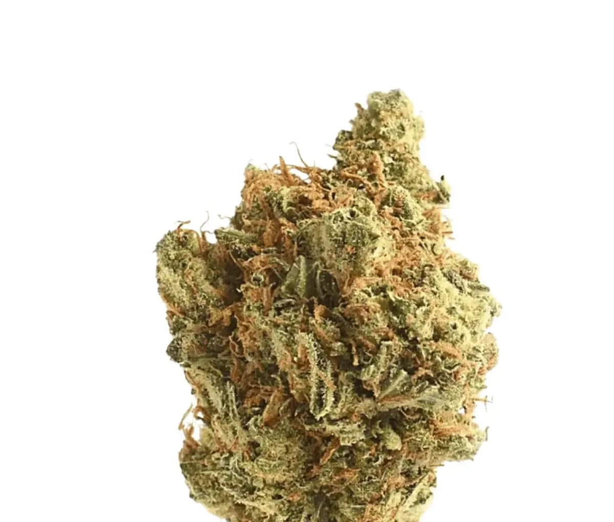 Remexian 18/1 LUX AMA - Amsterdam Amnesia Remexian 18/1 LUX AMA - Amsterdam Amnesia