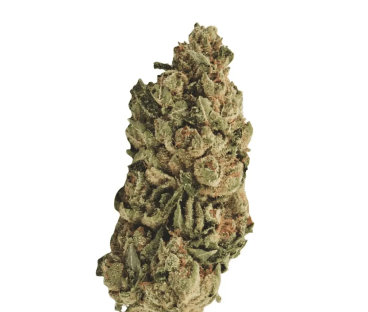 Greatsoul LL1 18/1 - Legendary Larry