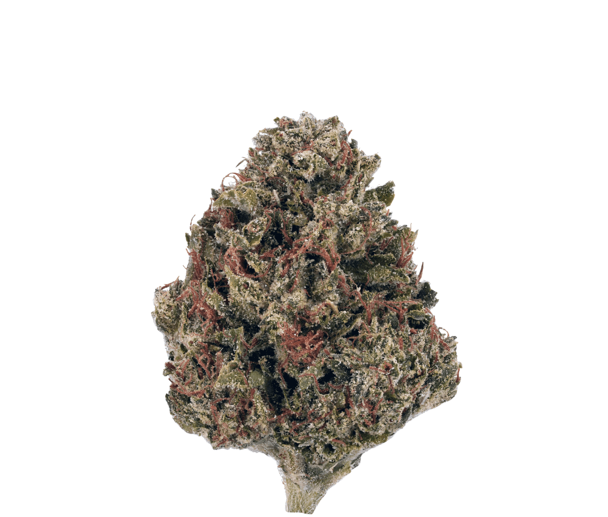 NICE Kush Mints 31/1