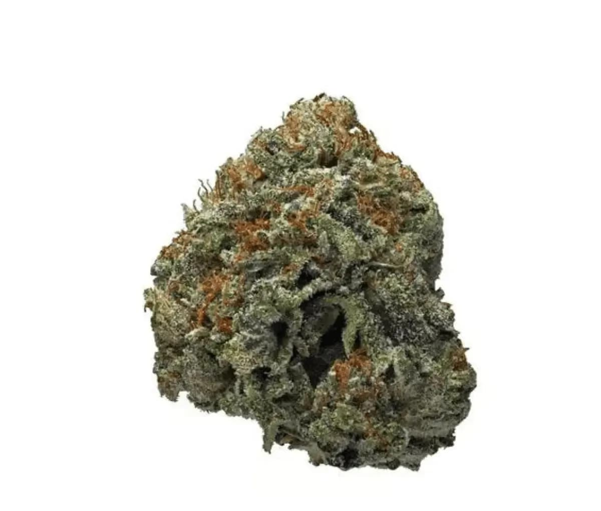 Weeco BR 22/1 - Black Russian Weeco BR 22/1 - Black Russian