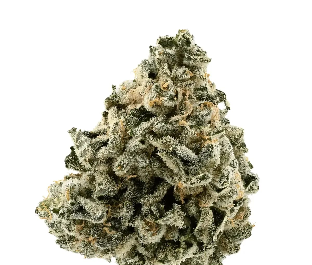 Demecan Core Moonbow 27/1