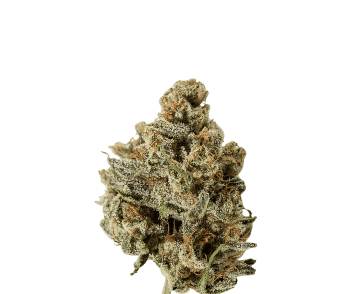 IMC PBG THC27 Token - Sour Beach