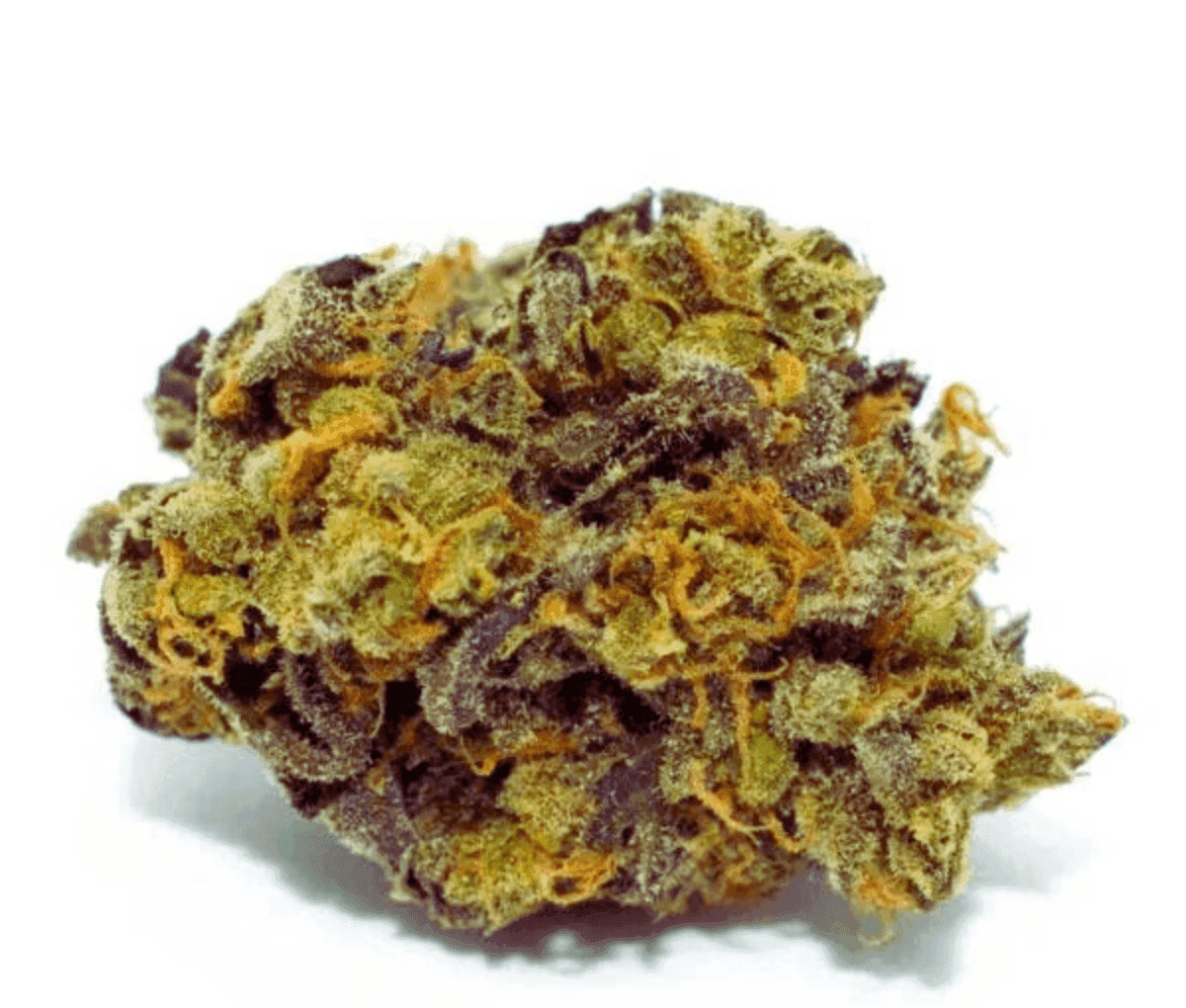 420 Natural 14/1 CA TRP - Tropicana Cookies 420 Natural 14/1 CA TRP - Tropicana Cookies