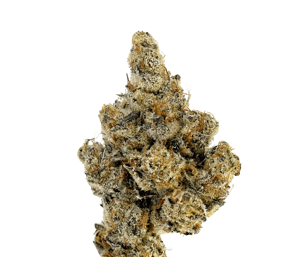 Remexian 33/1 MHI MYW - Mystic Wonder