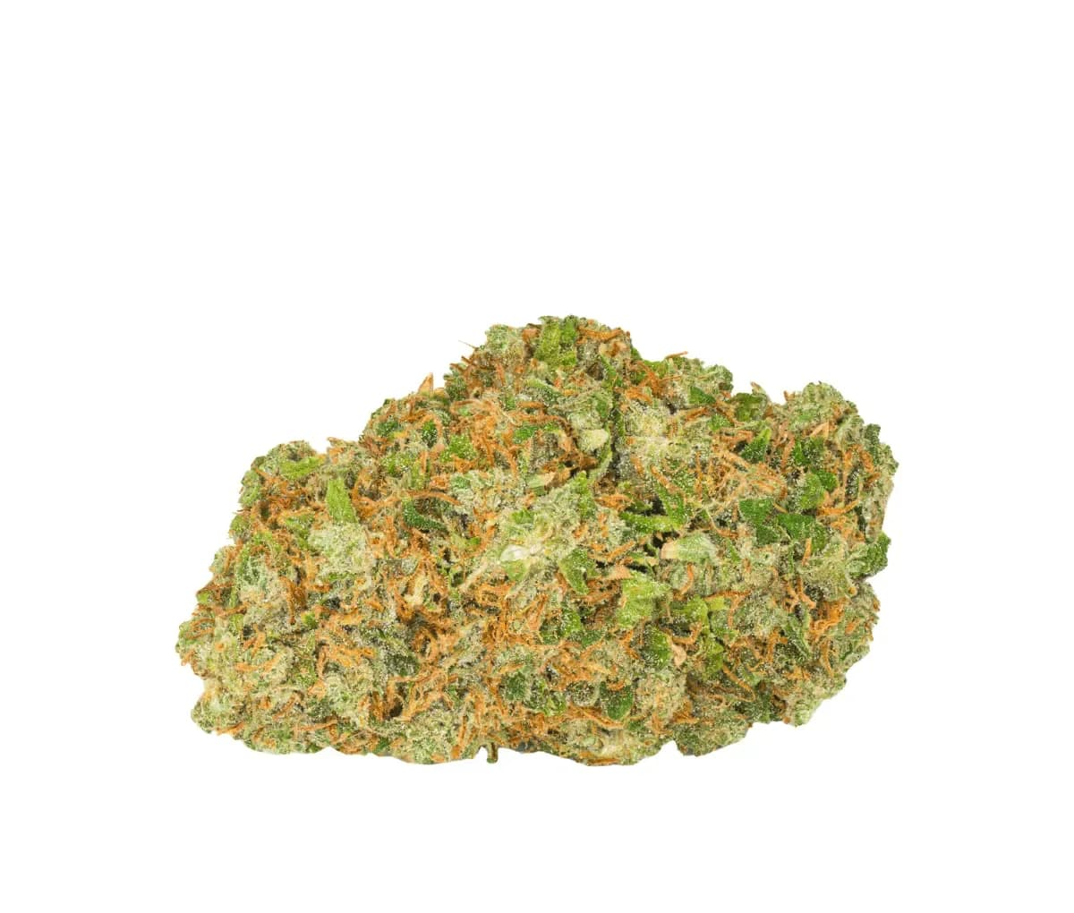 Social Choice 18/1 SEN GTH - Ghost Train Haze Social Choice 18/1 SEN GTH - Ghost Train Haze