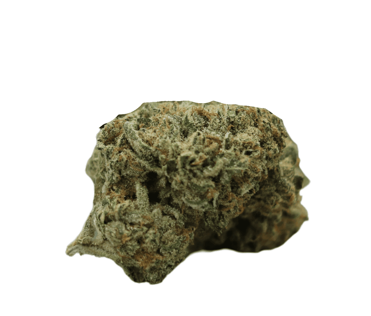 Weeco 27/1 KL King Louis - Cali Sunset Weeco 27/1 KL King Louis - Cali Sunset