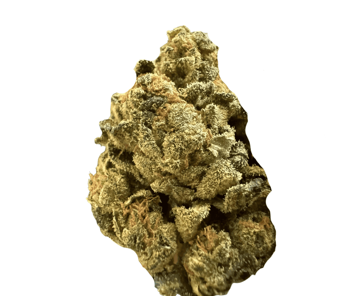 Curaleaf Natural 25/1 PT WPT - Wedding Pop Triangle Curaleaf Natural 25/1 PT WPT - Wedding Pop Triangle