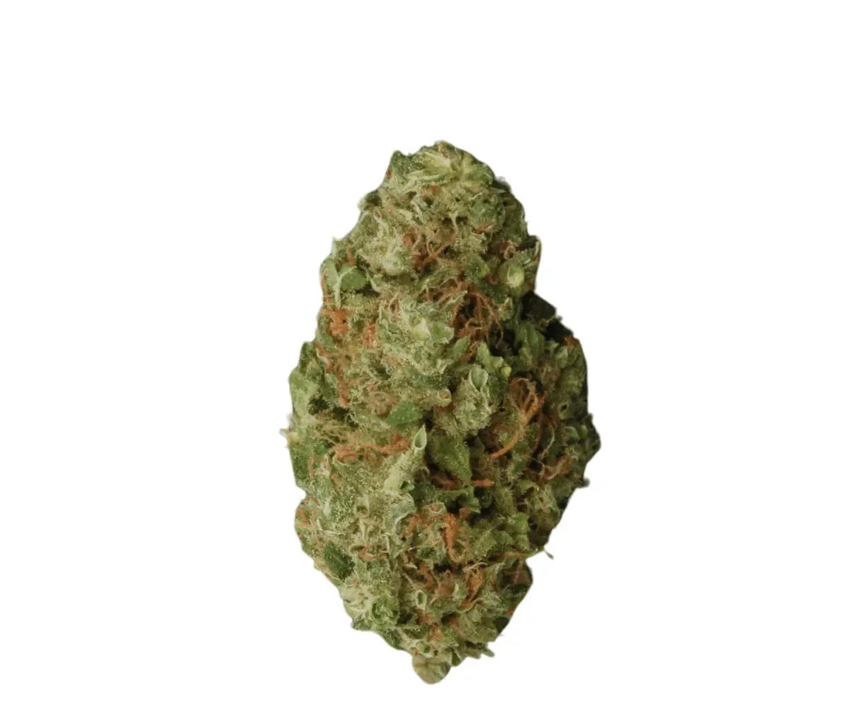 Aleph Air18/1 - Sour Tangie