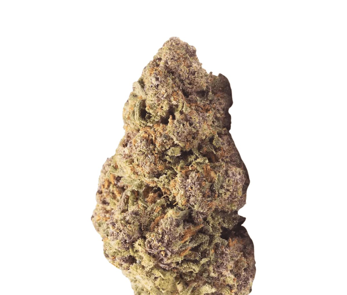 Weeco PS 25/1 - Pulsar