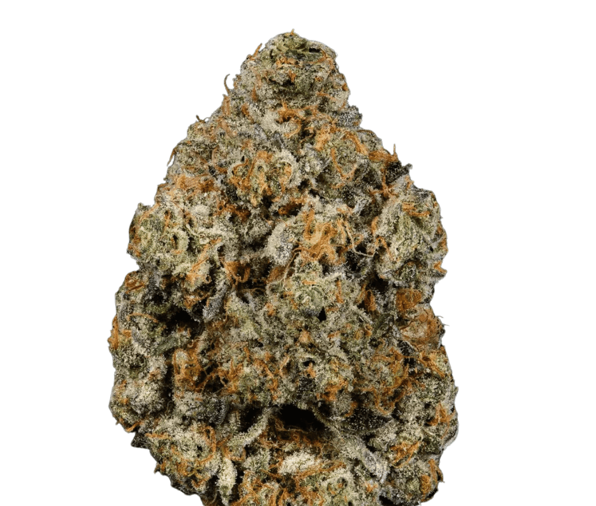 Cookies 2.0 Apples & Bananas 26/1 CAN