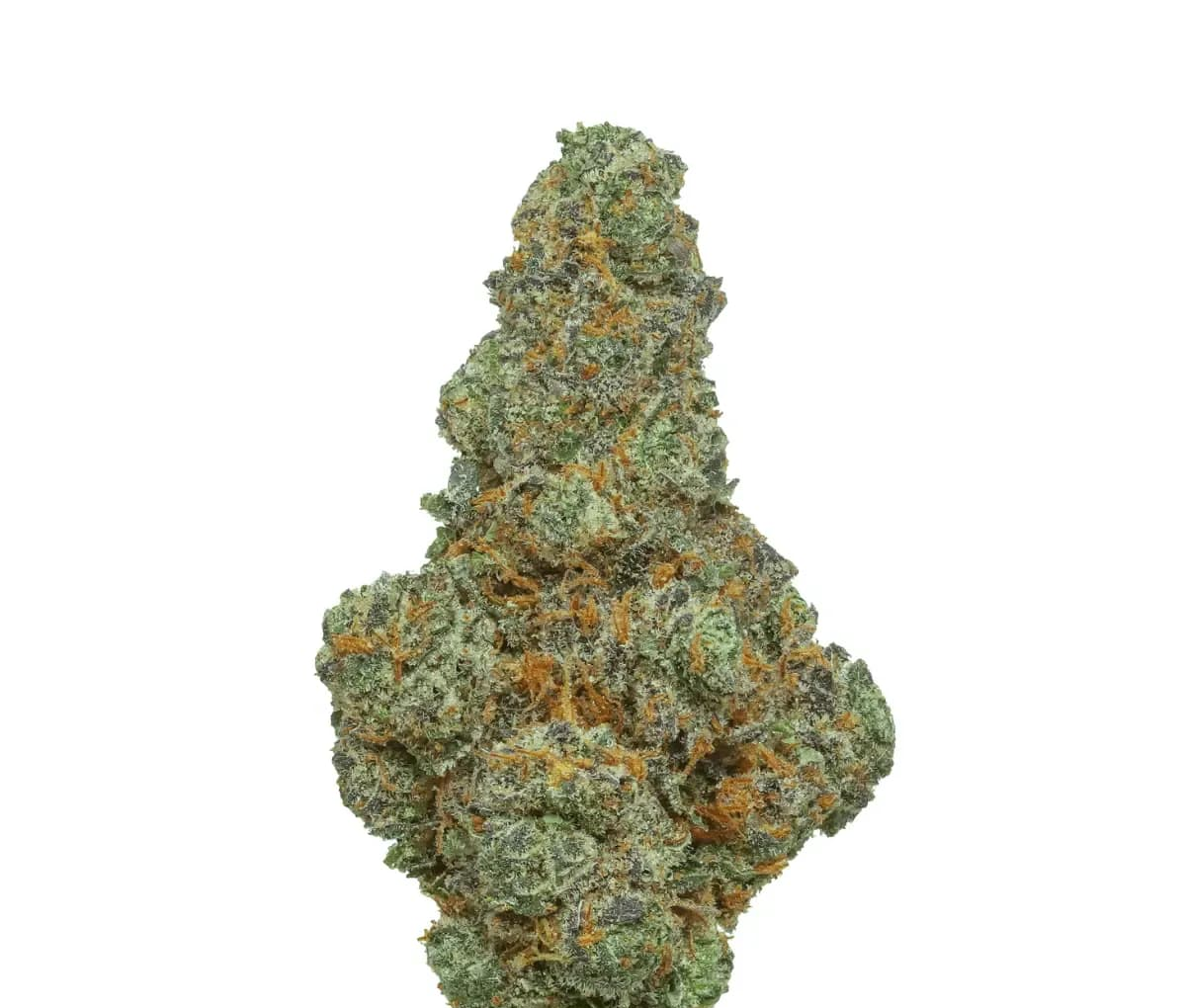 Remexian 24/1 CHR - Blunicorn BCO