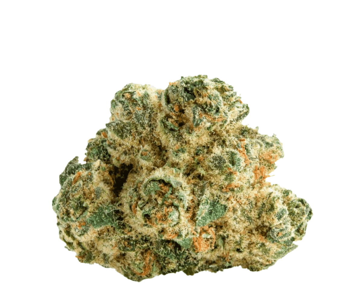 LIT 31/1 MKU Master Kush LIT 31/1 MKU Master Kush