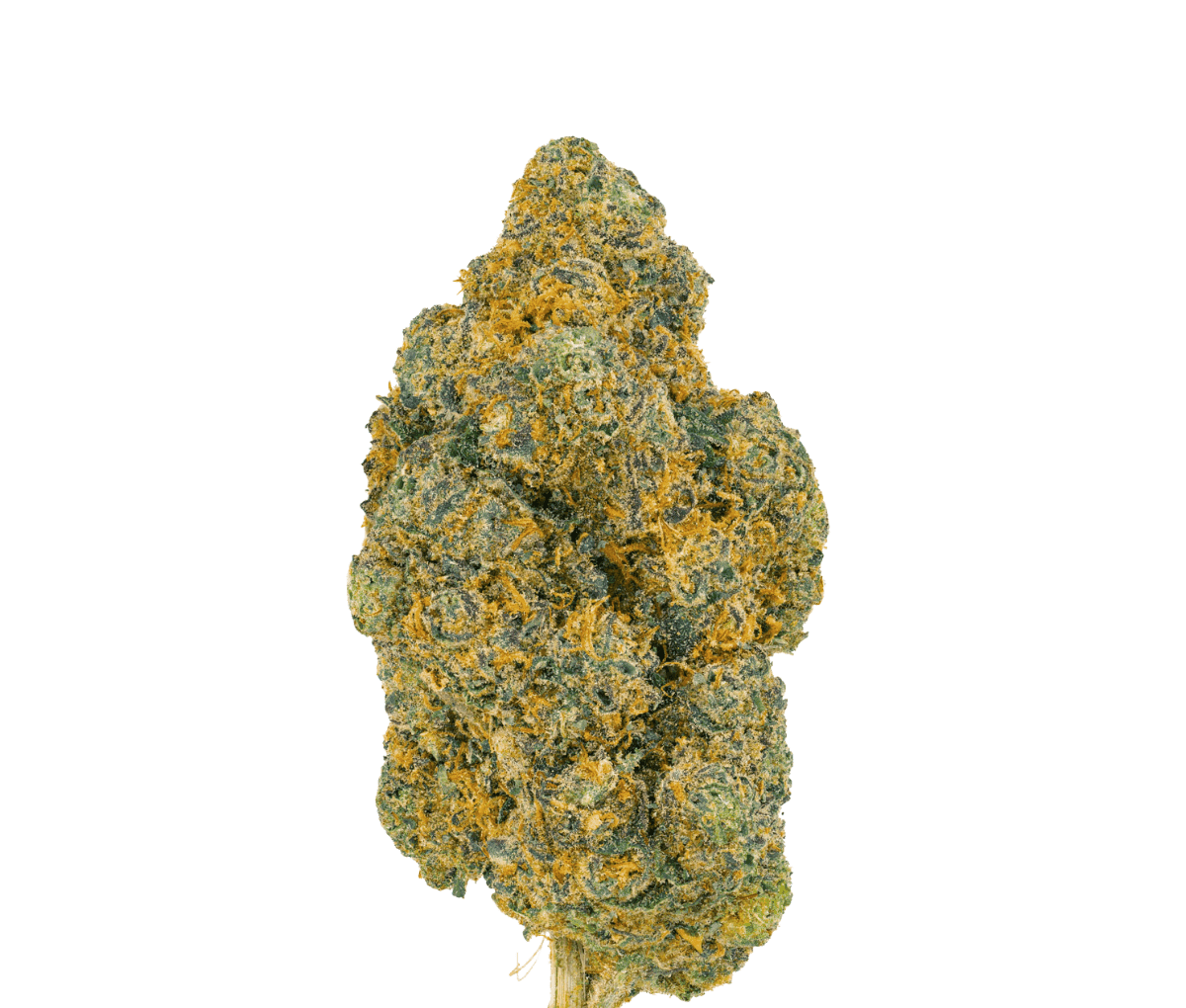 Pedanios 25/1 FLH-CA - Frozen Lemon Haze