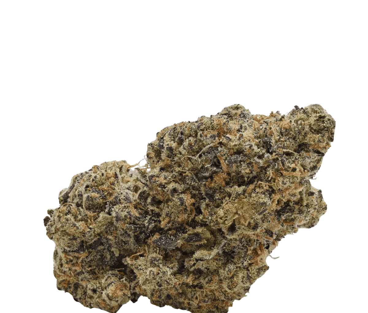 Slouu 25/1 CRL CA - Crumbled Lime