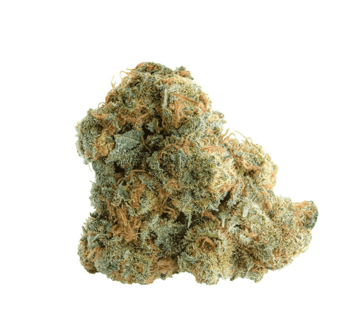 29/1 Amici AS - Atomic Sour Grapefruit