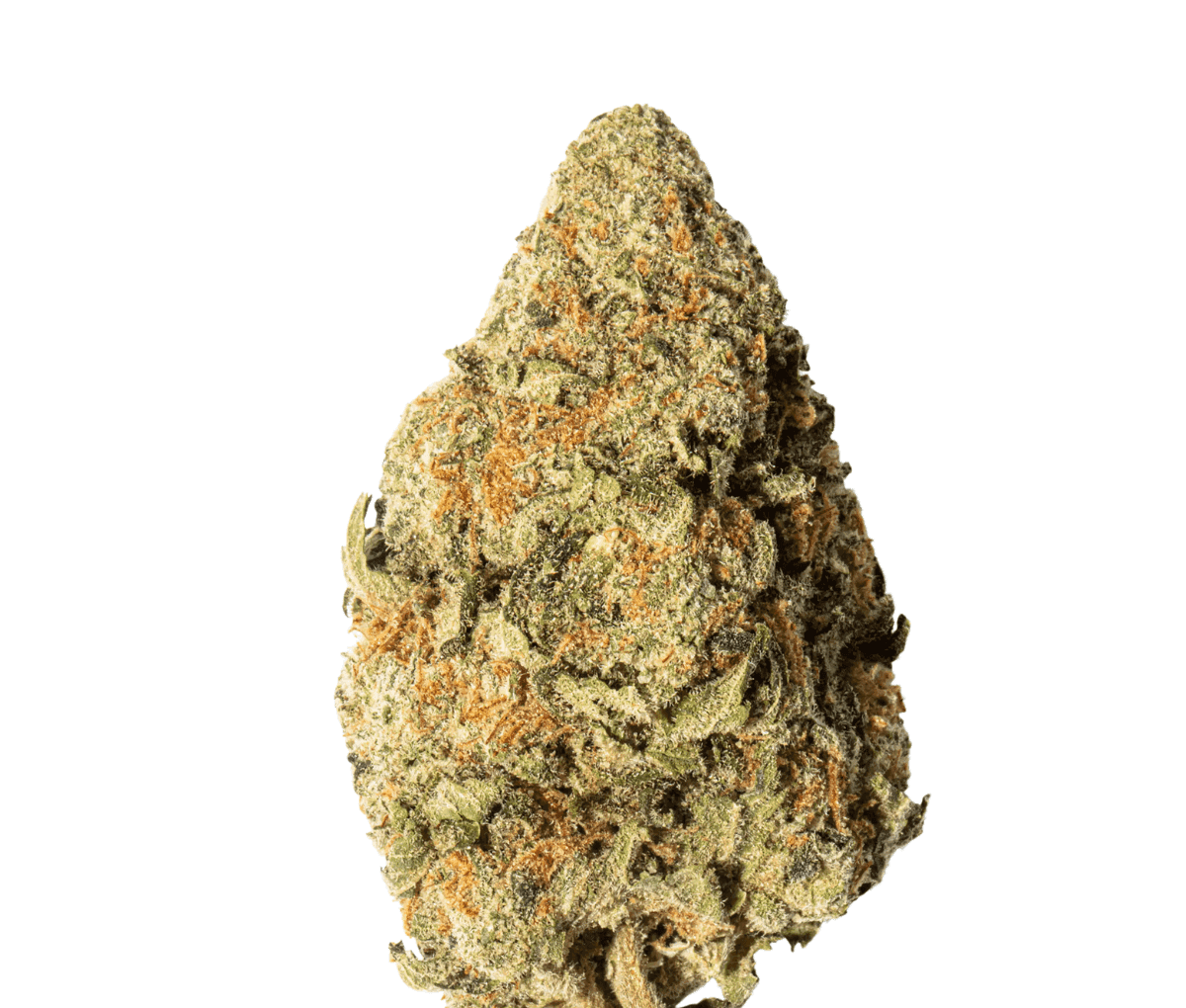 bava med 21/1 PIA-EX - Pineapple Express