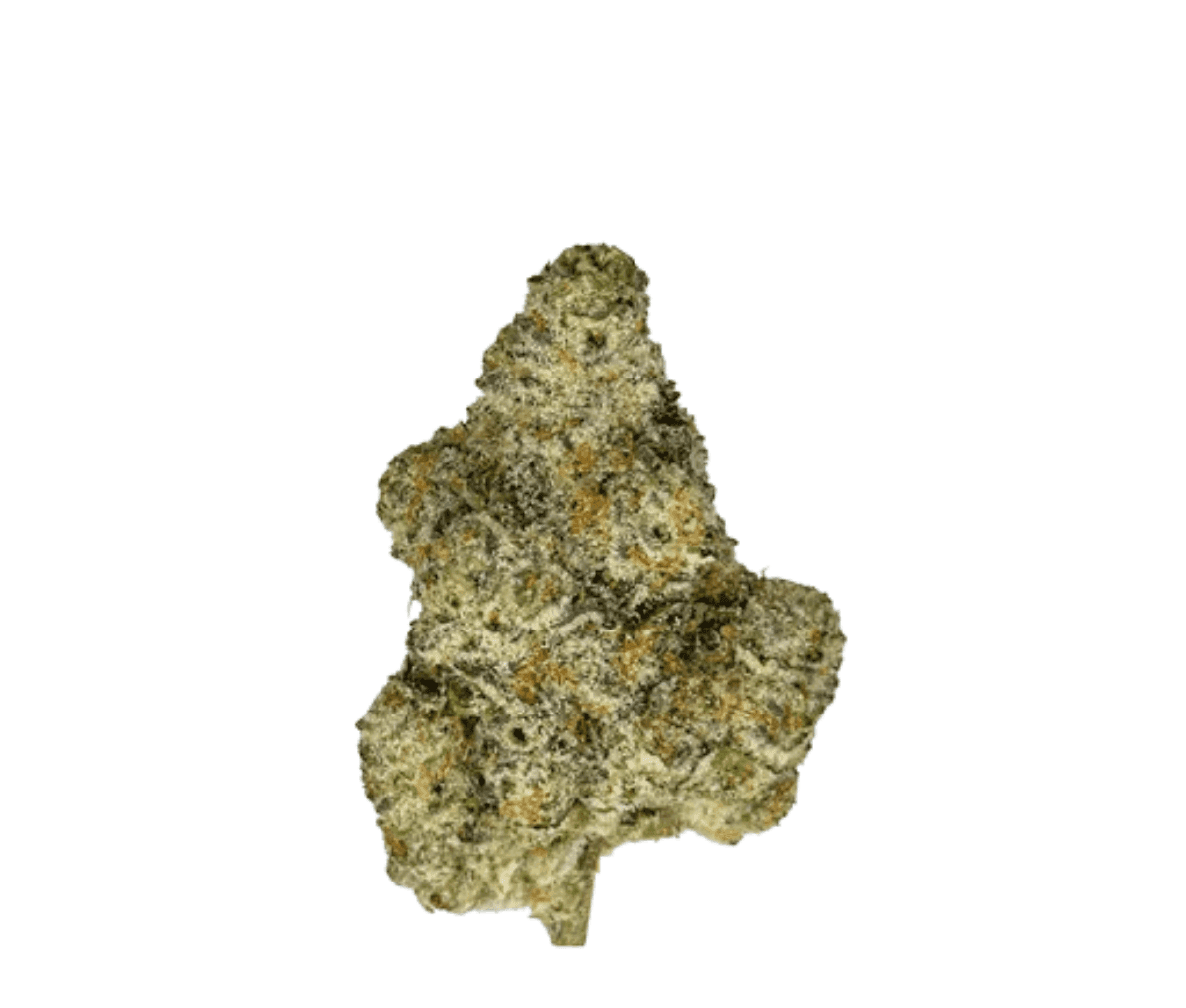 Remexian 24/1 HCC OTN - Octane Knock