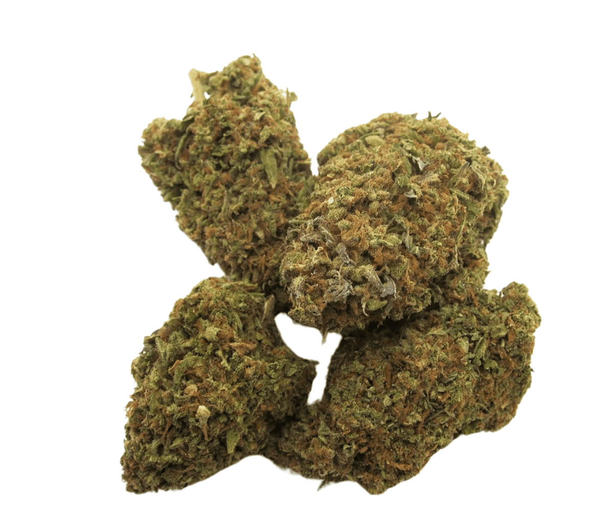 madrecan 21/1 MDR - MAC Driver madrecan 21/1 MDR - MAC Driver